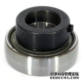 SKF��С����������