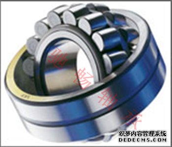 ��̽���ߡ����-SKF���